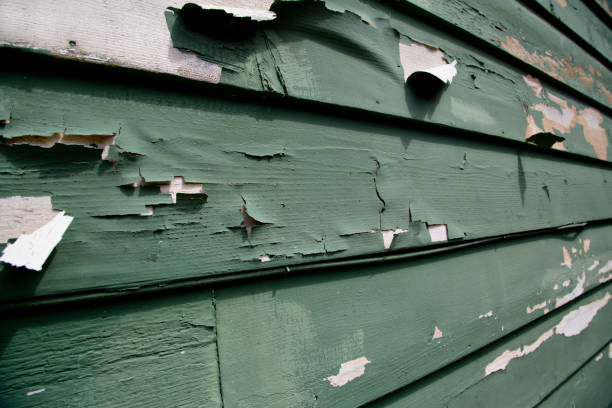 Affordable siding repair and maintenance services in Chicago Ridge, IL